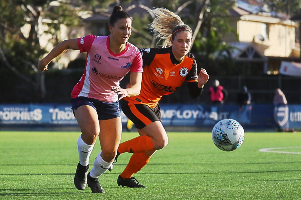 67950499_2299712196750758_7060760852613300224_o