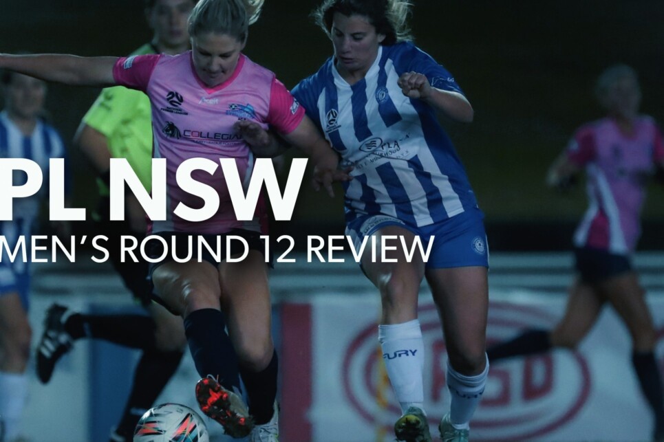 Review_NPLW R12