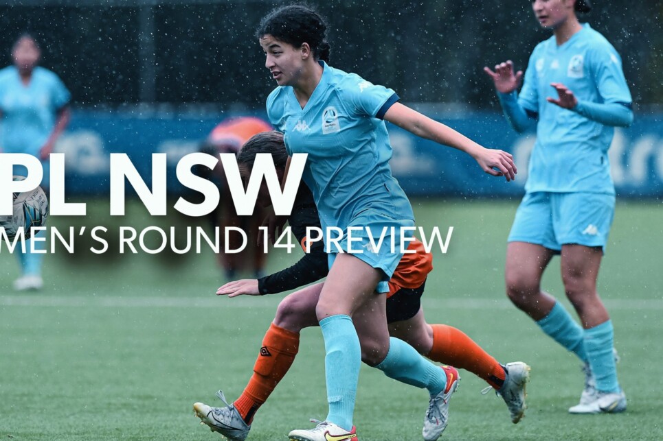 Preview_NPLW R14