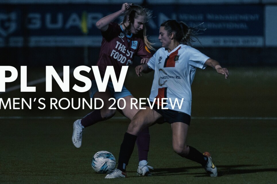Review_NPLW R20