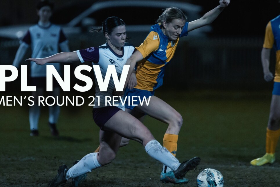 Review_NPLW R21