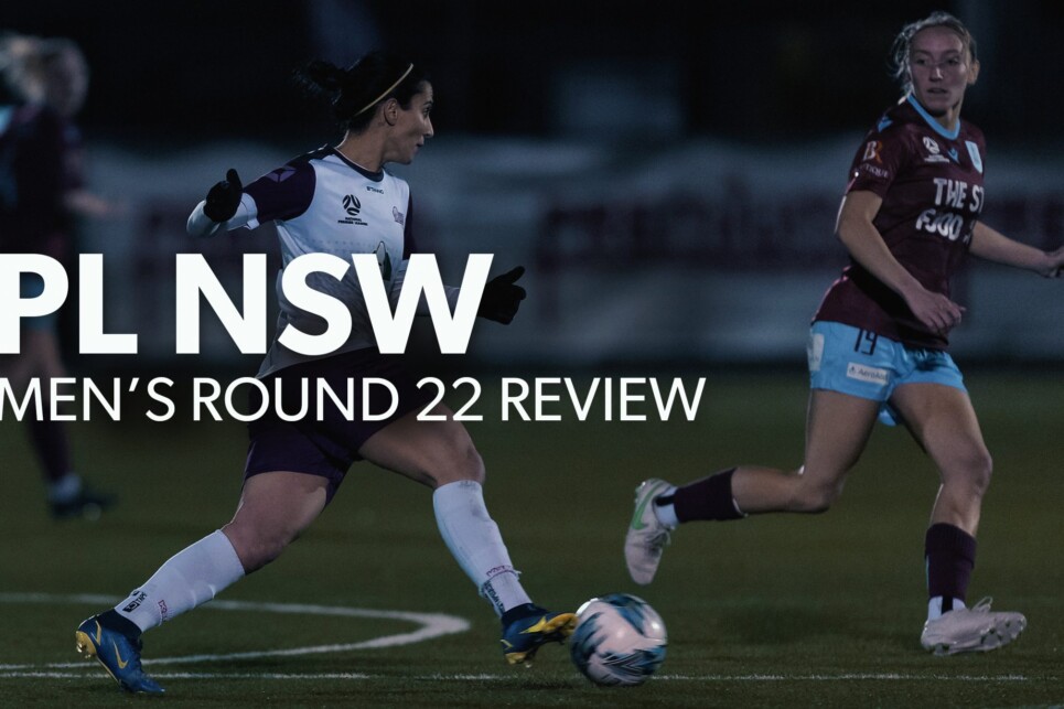 Review_NPLW R22