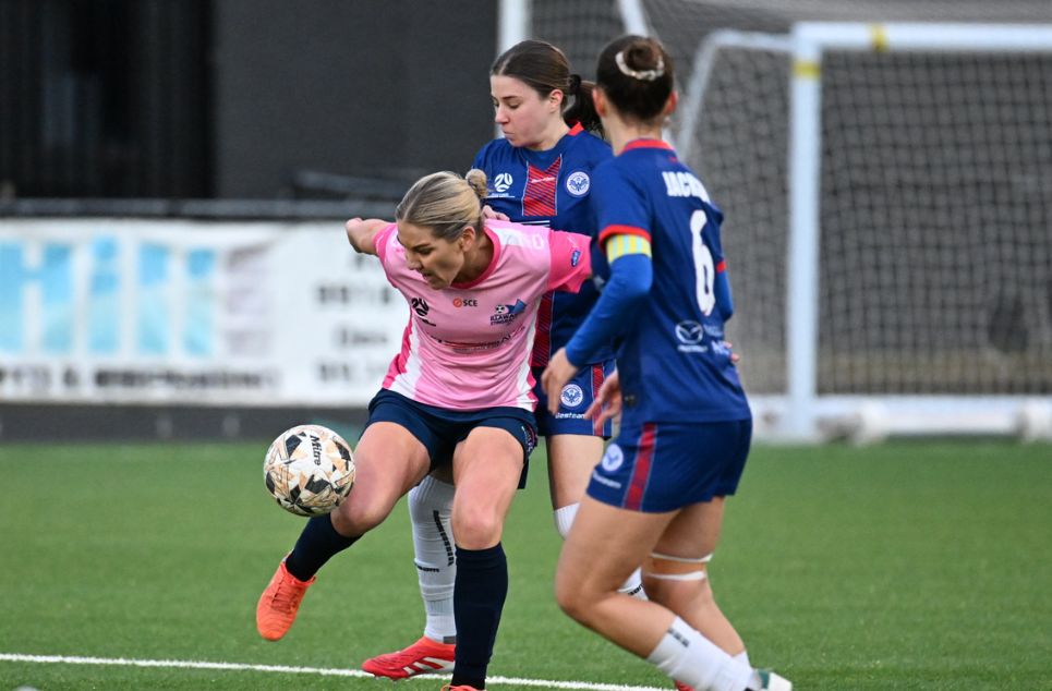 new article banner (1) new article banner (1)