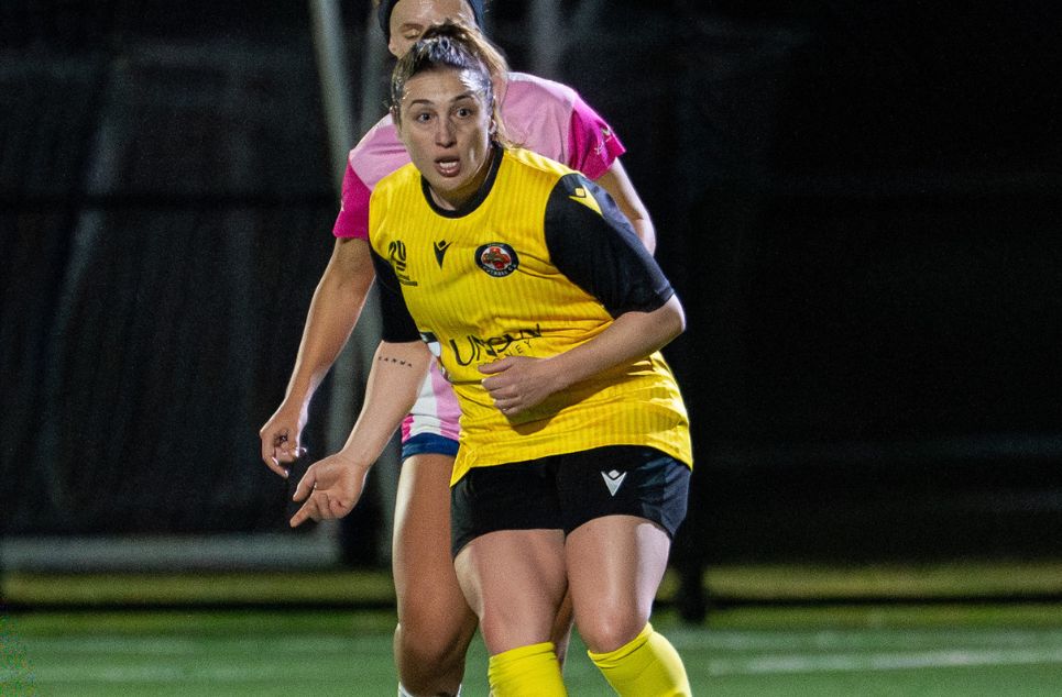 new article banner (2) new article banner (2)