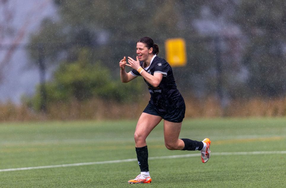 new article banner (4)