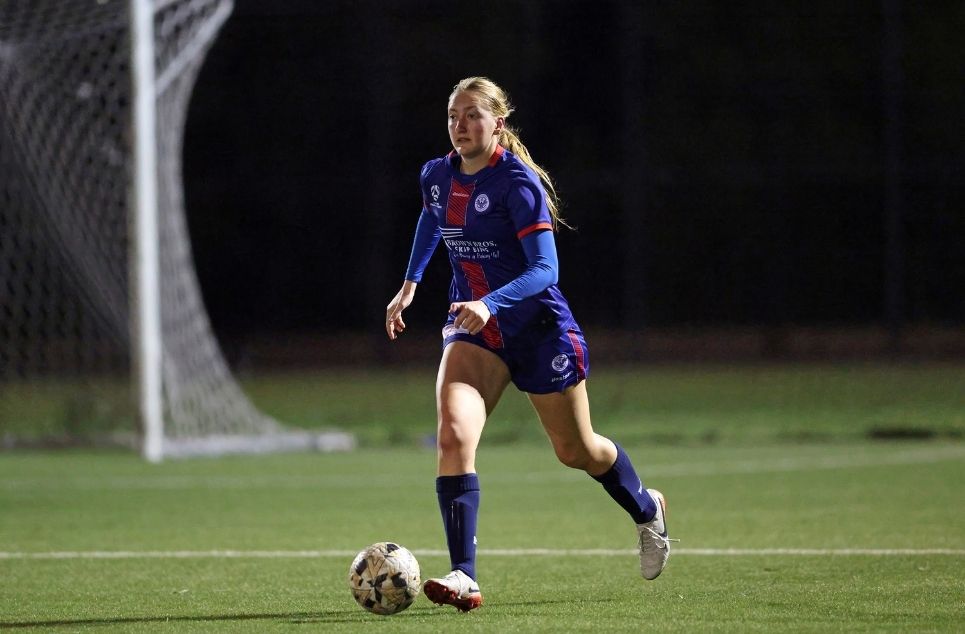 new article banner (1)