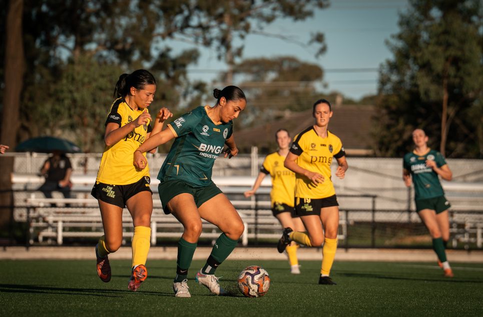 new article banner (1)