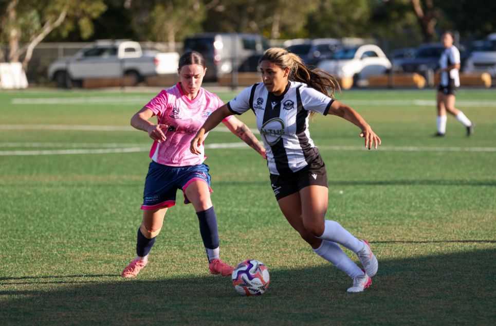 new article banner (1)