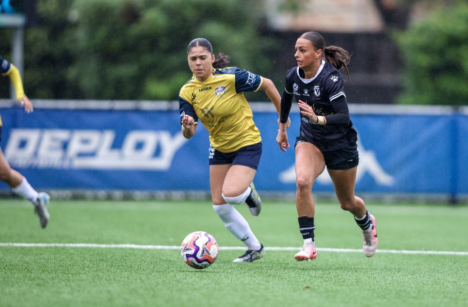 new article banner (1)