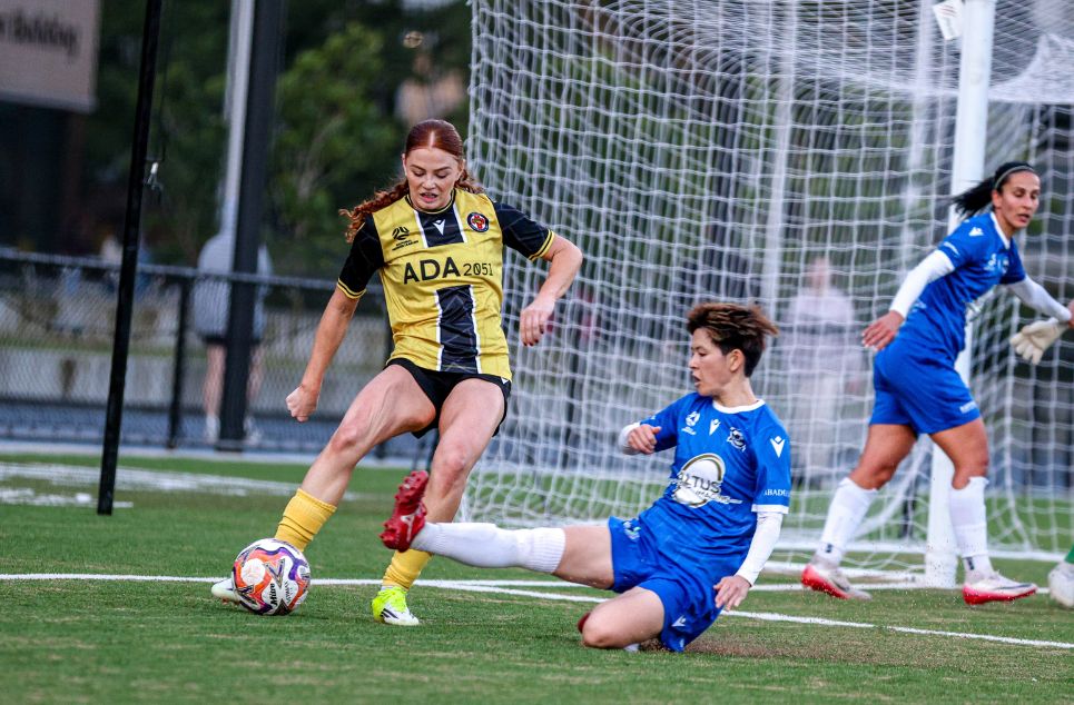 new article banner (1)