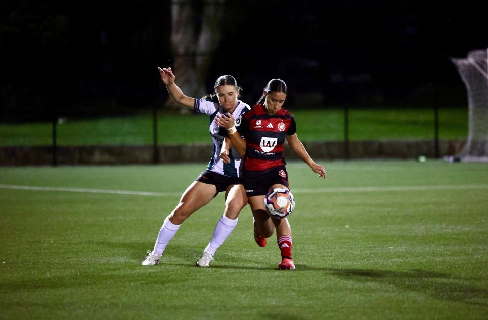 new article banner (3)